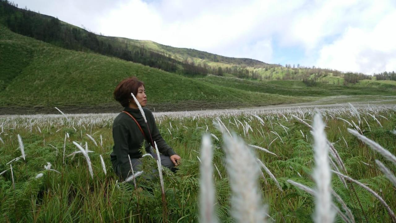 Budhis Home Bromo Bagian luar foto