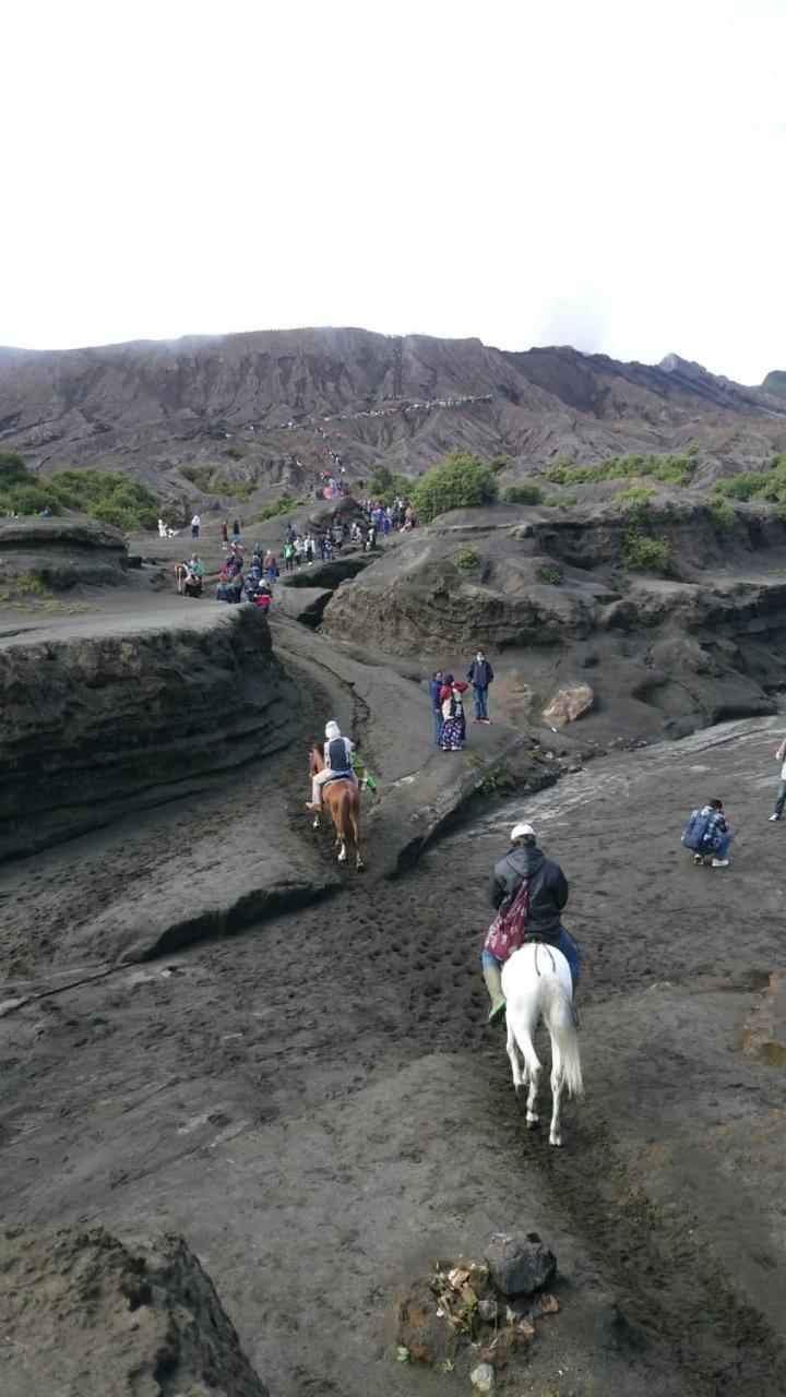 Budhis Home Bromo Bagian luar foto